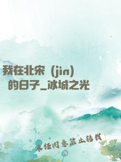 我在北宋進(jìn)貨的日子