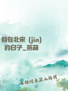 我在北宋進(jìn)貨的日子