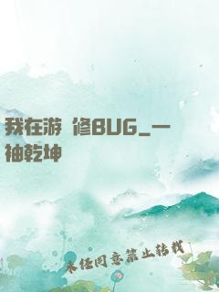 我在游戲修BUG