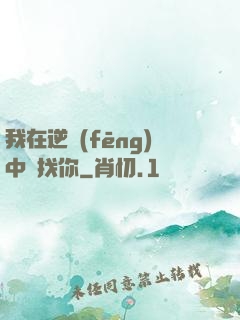我在逆風(fēng)中尋找你