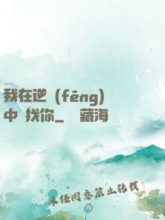 我在逆風(fēng)中尋找你