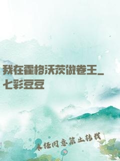 我在霍格沃茨做卷王