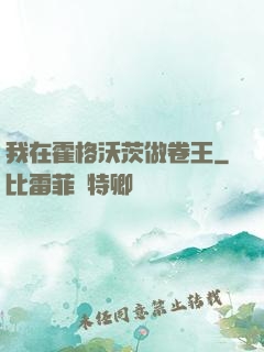 我在霍格沃茨做卷王