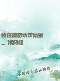 我在霍格沃茨氪金變強