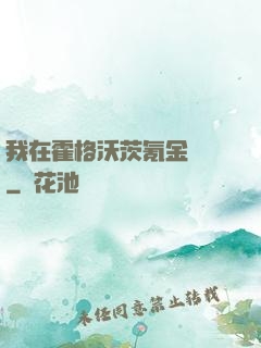 我在霍格沃茨氪金變強