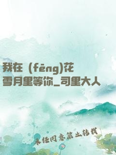 我在風(fēng)花雪月里等你
