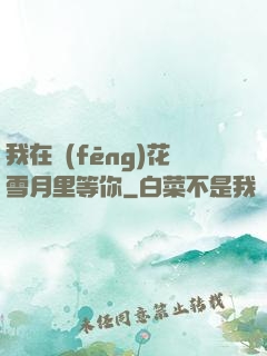 我在風(fēng)花雪月里等你