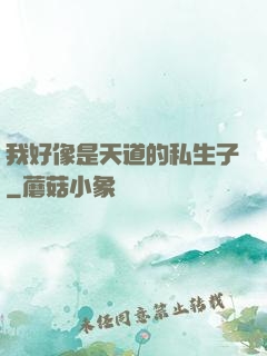 我好像是天道的私生子