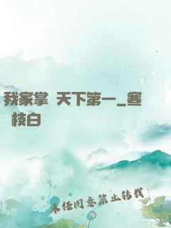 我家掌門天下第一