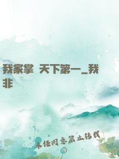 我家掌門天下第一