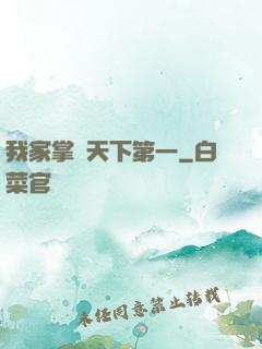 我家掌門天下第一