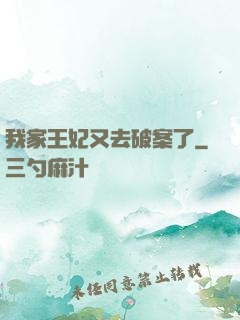 我家王妃又去破案了