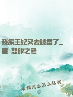 我家王妃又去破案了