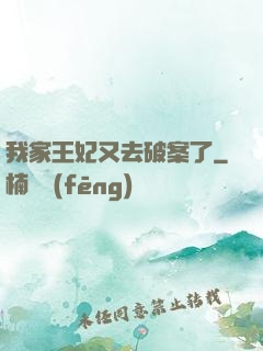 我家王妃又去破案了