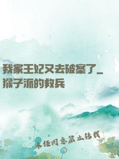 我家王妃又去破案了