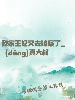我家王妃又去破案了