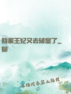 我家王妃又去破案了
