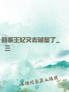 我家王妃又去破案了