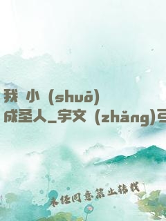 我寫小說(shuō)成圣人