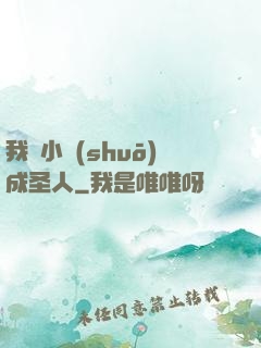 我寫小說(shuō)成圣人