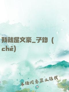 我就是文豪