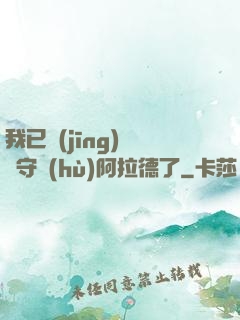 我已經(jīng)沒錢守護(hù)阿拉德了