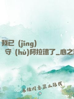 我已經(jīng)沒錢守護(hù)阿拉德了