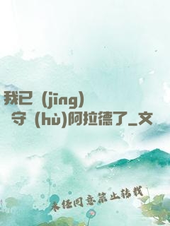 我已經(jīng)沒錢守護(hù)阿拉德了