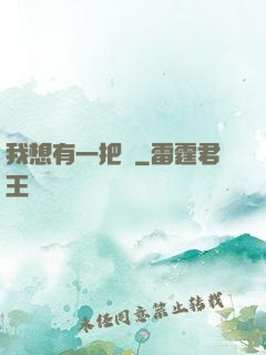 我想有一把劍