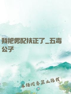 我把男配扶正了