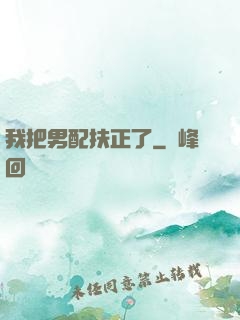 我把男配扶正了