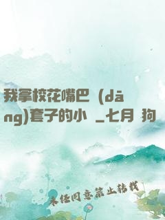 我拿?；ㄗ彀彤?dāng)套子的小說