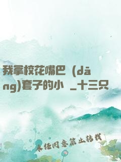 我拿?；ㄗ彀彤?dāng)套子的小說