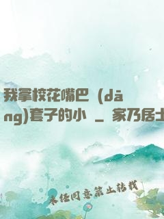 我拿?；ㄗ彀彤?dāng)套子的小說