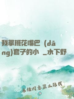 我拿班花嘴巴當(dāng)套子的小說