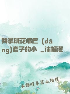 我拿班花嘴巴當(dāng)套子的小說