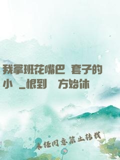 我拿班花嘴巴當套子的小說