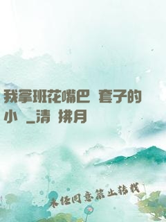我拿班花嘴巴當套子的小說