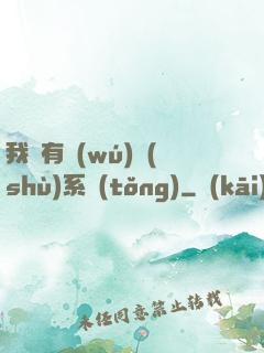 我擁有無(wú)數(shù)系統(tǒng)