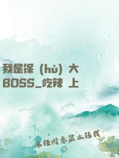 我是保護(hù)傘大BOSS