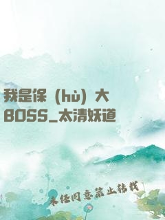 我是保護(hù)傘大BOSS