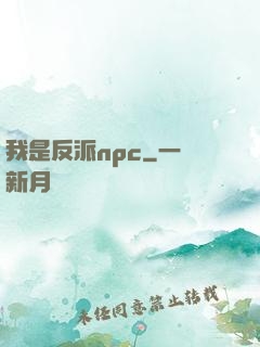 我是反派npc
