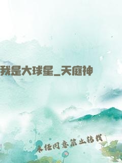 我是大球星