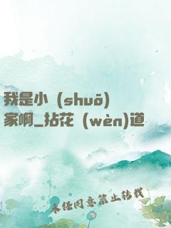 我是小說(shuō)家啊