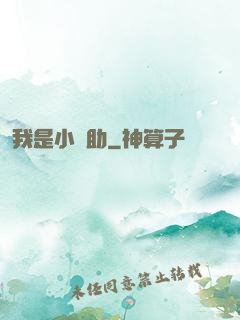 我是小輔助