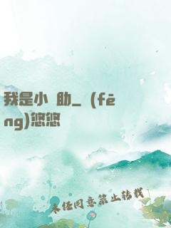 我是小輔助