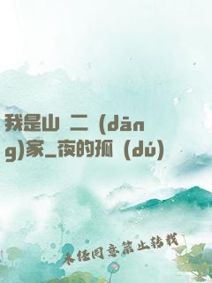 我是山賊二當(dāng)家