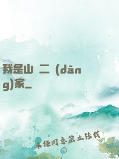 我是山賊二當(dāng)家