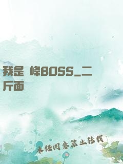 我是巔峰BOSS