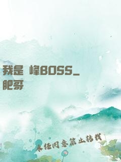 我是巔峰BOSS